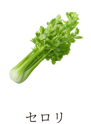 セロリ